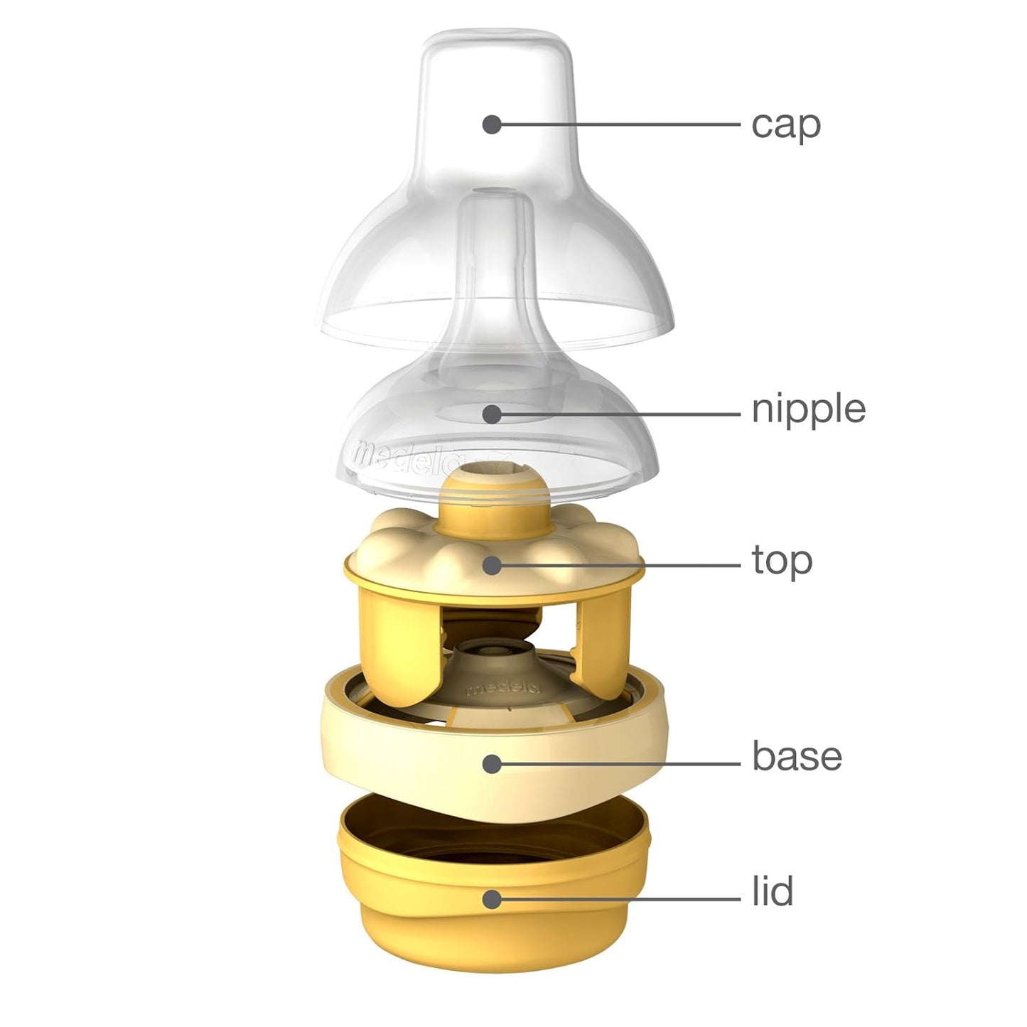 Medela Calma Feeding Nipple, Showing Cap, Nipple, Top Base, and Lid